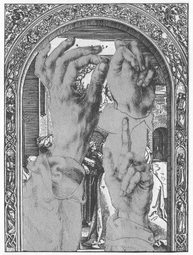 Die zweifelhafte Wuerde